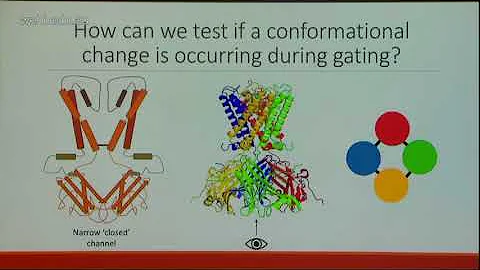Black K (2017): Structure-function studies of K+ channel gating