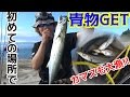 #4 車で釣りの旅！佐賀～東京　2日目カマスが爆釣！青物も