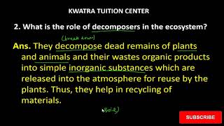 2. What is the role of decomposers in the ecosystem?