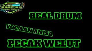 PECAK WELUT | ANDI PUTRA ONE | AAN ANISA | REAL DRUM 🥁 