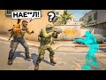 7 МИНУТ ТРОЛЛИНГА ПЕРЕД СНОМ (CS:GO)