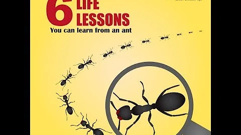 6 Life Lessons You Can Learn From An Ant.
