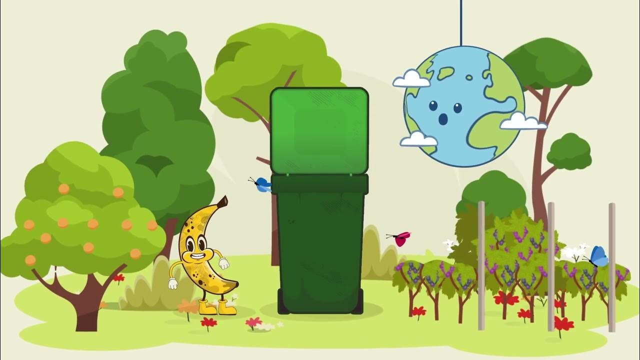 What goes in the green bin? YouTube