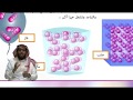 العلوم بلغة الإشارة للصف السادس ف2 المادة وكيف يمكن قياسها