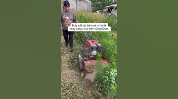 Máy cắt cỏ trục băm chuyên nghiệp chạy xăng #nông_nghiệp #automobile