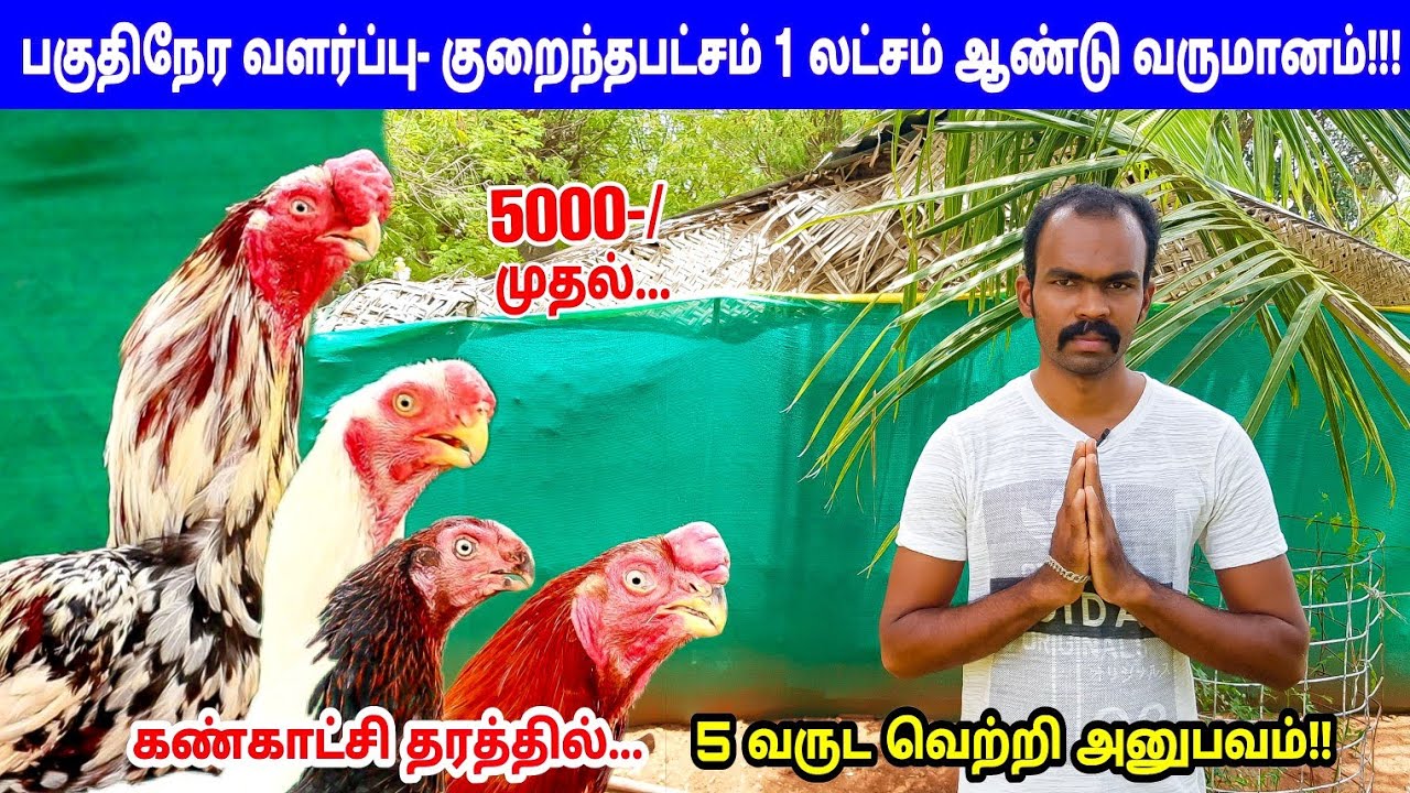 புதுச்சத்திரம் திரு. நந்தகுமார் பண்ணை-Vlog  5 வருட அணுபவம் | பகுதிநேர லாபகரமான கோழி பண்ணை வளர்ப்பு |