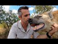 Hyena Scents and Sense Abilities - Touch | The Lion Whisperer