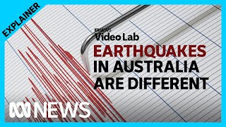 How big do earthquakes get in Australia and how prepared are we? | ABC News