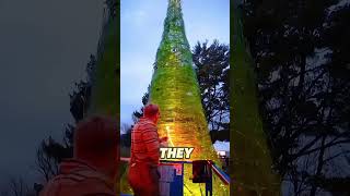 Only the holiest of people can leave their mark on this tree