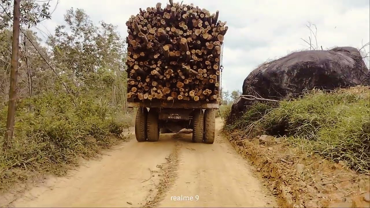 ngày đi rừng gặp xe 12 bánh chở keo.. 