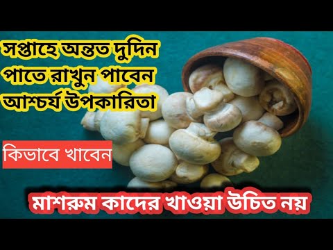 Sirk porno rasmlar Yapon trans onlayn porno