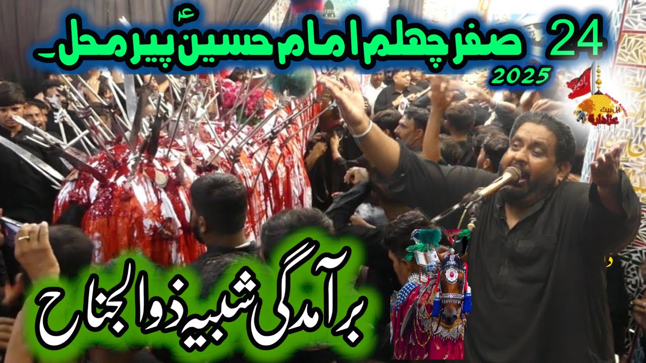 Zakir Syed Gulam Raza Naqvi Jung | Baramdagi Zuljanah 24 Safar Chalam Imam Hussain as Pir Mahal 2025