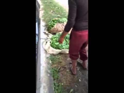 എങ്ങെനെ ഉണ്ട് ഇതിനും നല്ലത് വേറെ എവിടെന്നു കിട്ടാൻ camera iphone 8 plus apk