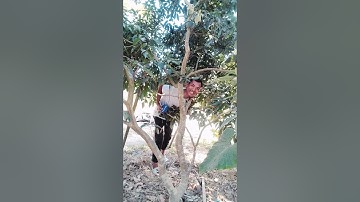 Ayu matw gilu balu burisw nwng #viralreels #ytshorts #music #music #comedyreelsvideo