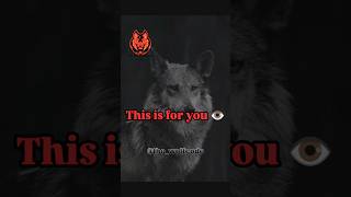⚠️ stop !... this is for you ☠️.. #motivation #wolf #darkpsychology #psychologyfacts #mindcontrol
