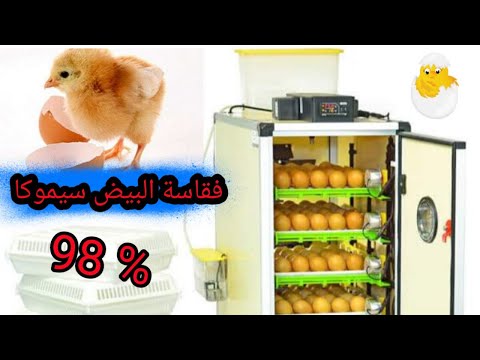 و تبقى سيموكا أروع فقاسه حسب تجربتي