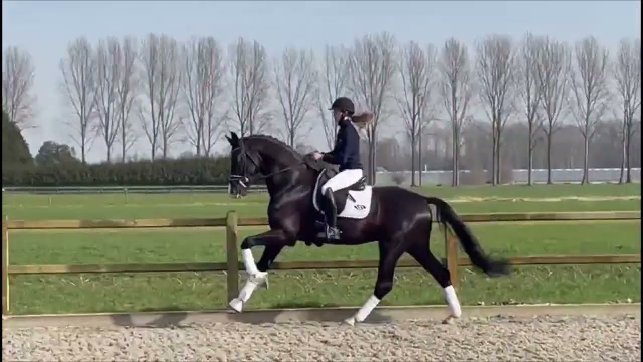 Nirvano pour Simone Pearce