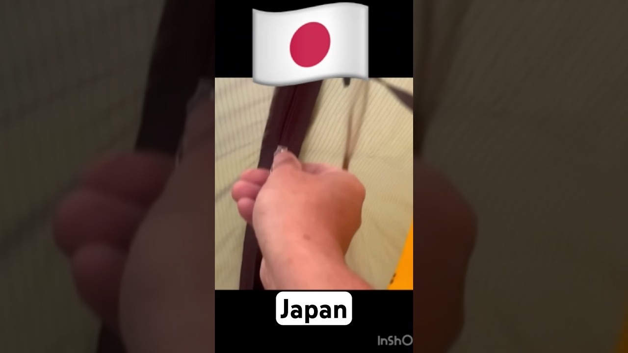 #日本とロシアの違い #jokes #日本 #ロシア #russia #deutschland #russland #shorts #fyp