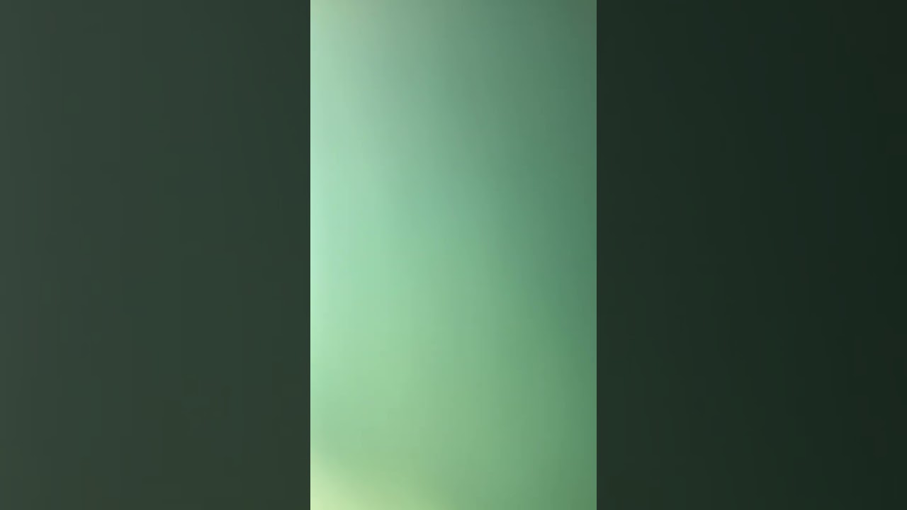 Herbal Friday with Healthy Passion: Elecampane ( Inula Helenium )