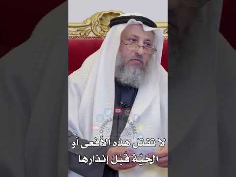 لا تقتل هذه الأفعى أو الح ي ة ق ب ل إنذارها عثمان الخميس