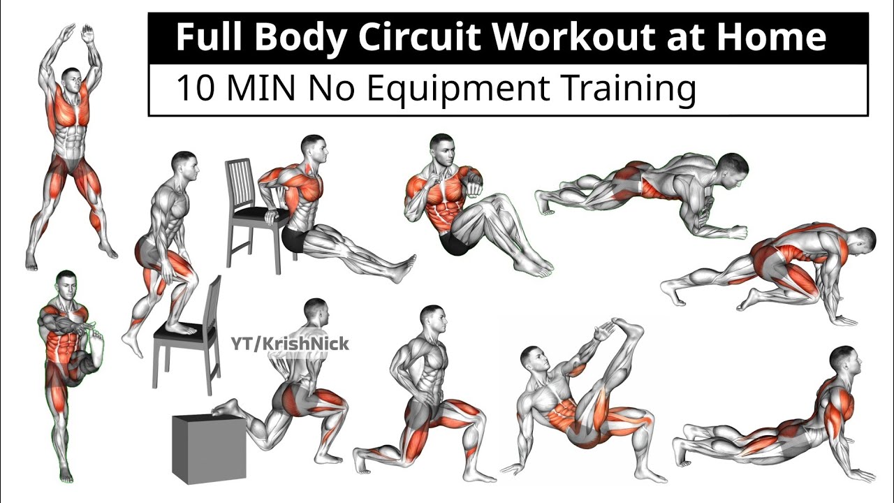 Full Body Circuit Workout at Home | 10 MIN No Equipment Training - YouTube