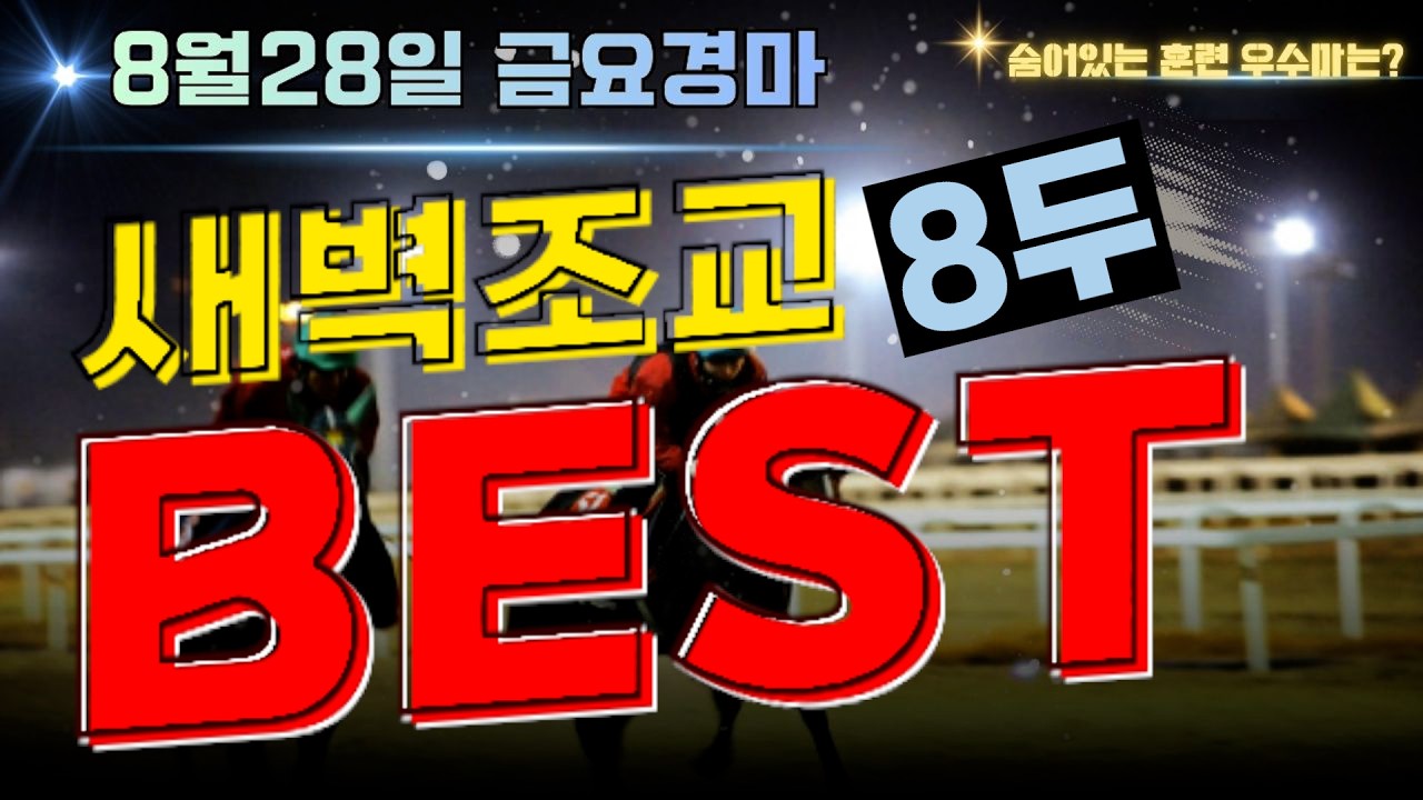 [굽소리경마] 어려운 부산경마 해법은? 8월의 마지막 이길 수 있습니다!! 승리 안길 훈련우수마 8두!!#새벽조교#부산경마#조교우수마#굽소리경마