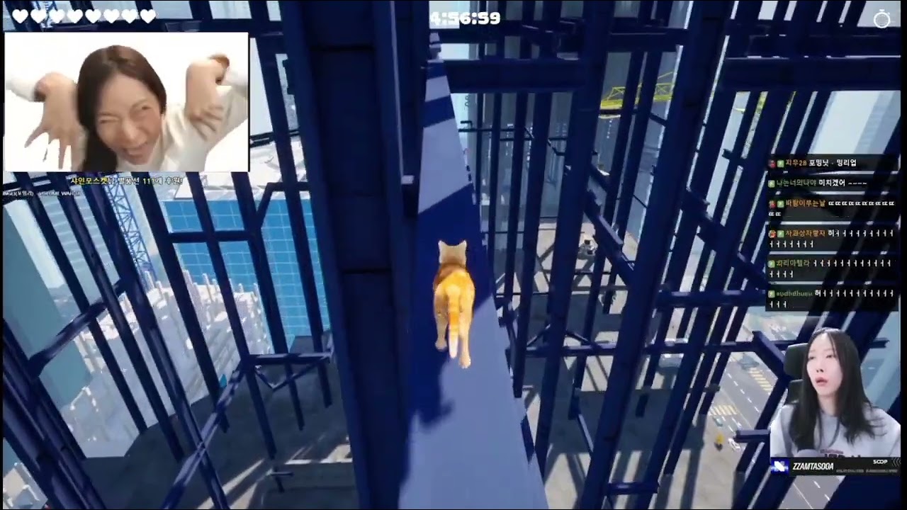 [짬타수아 클립] 거를 타선이 없는 밈 도네 모음집