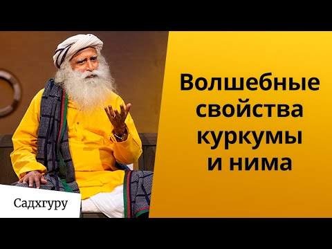 Видео: Куркума хүний биед үзүүлэх ач тус