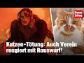 Katzen-Tötung: Auch Verein reagiert mit Rauswurf! | krone.tv NEWS