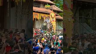 Thrissur Pooram 2024 Status | Elephant Entry #Shorts #Kerala #Festival #Latest #Thelastcholas