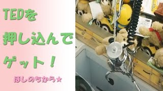 ミニTEDを押し込んで取ってきました!　UFOキャッチャー