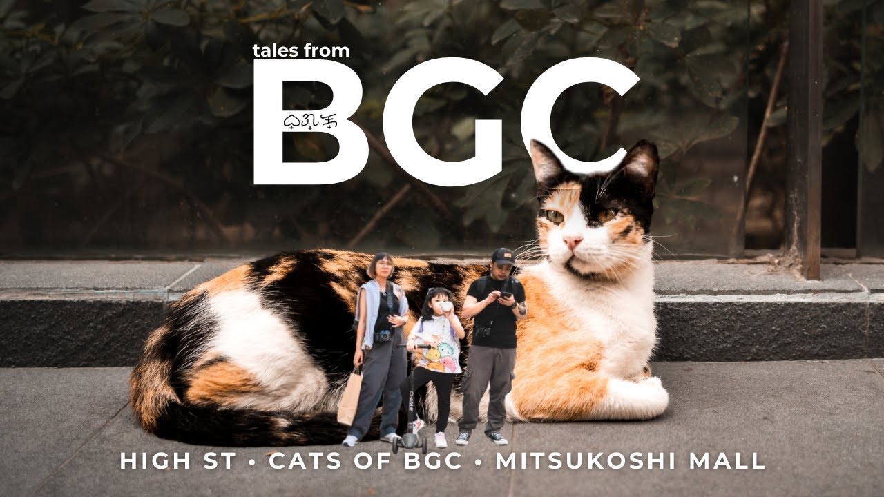 Philippines Travel Vlog | High Street, Mitsukoshi, & Cats of BGC | A Cinematic Silent Vlog