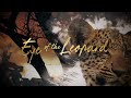 Eye of the Leopard - Trailer - Wildlife Films - National Geographic