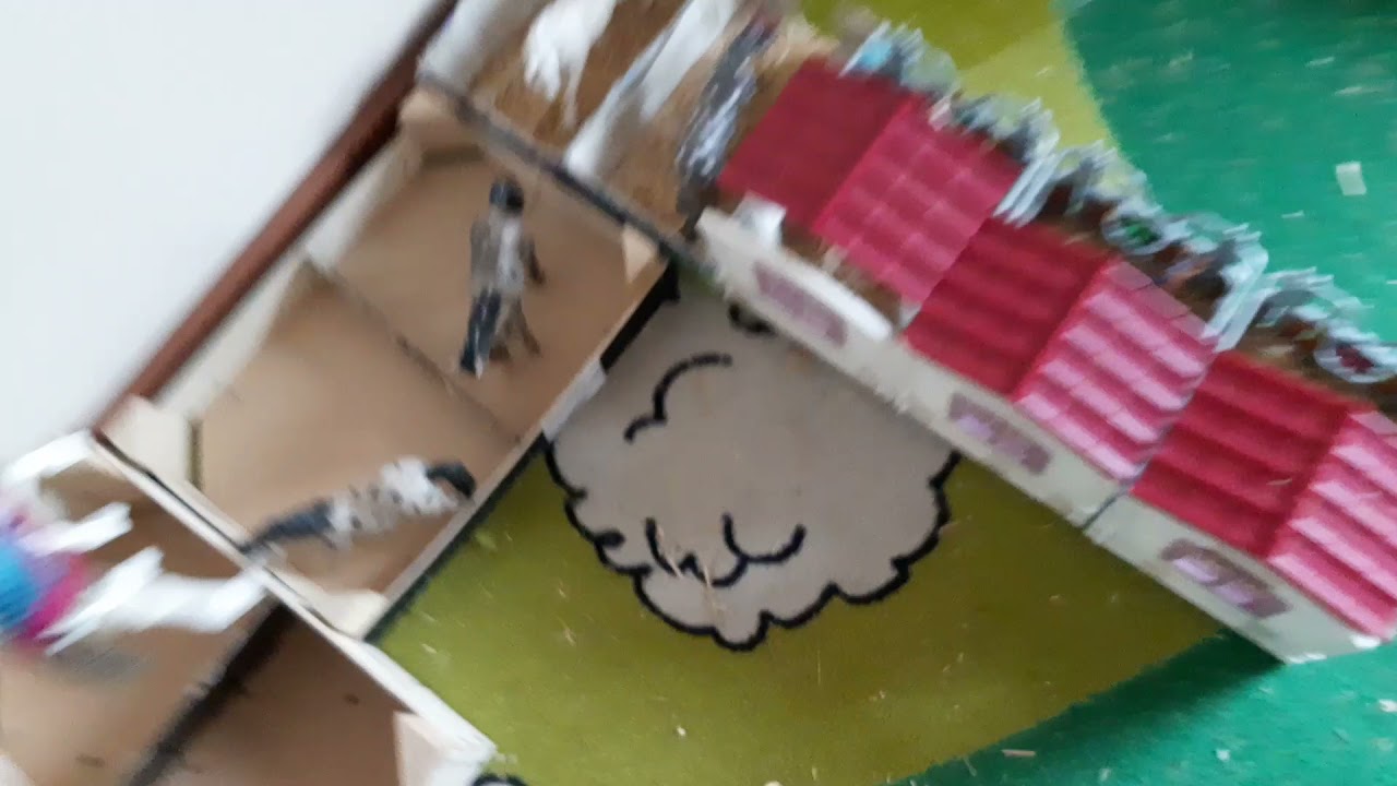 Pferd ab in deine Box🐴➡️🤗