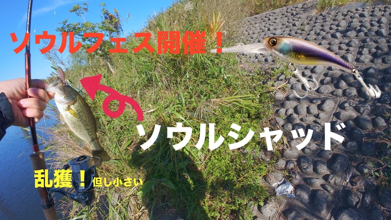 【荒川バス釣り】ソウルフェス開催！