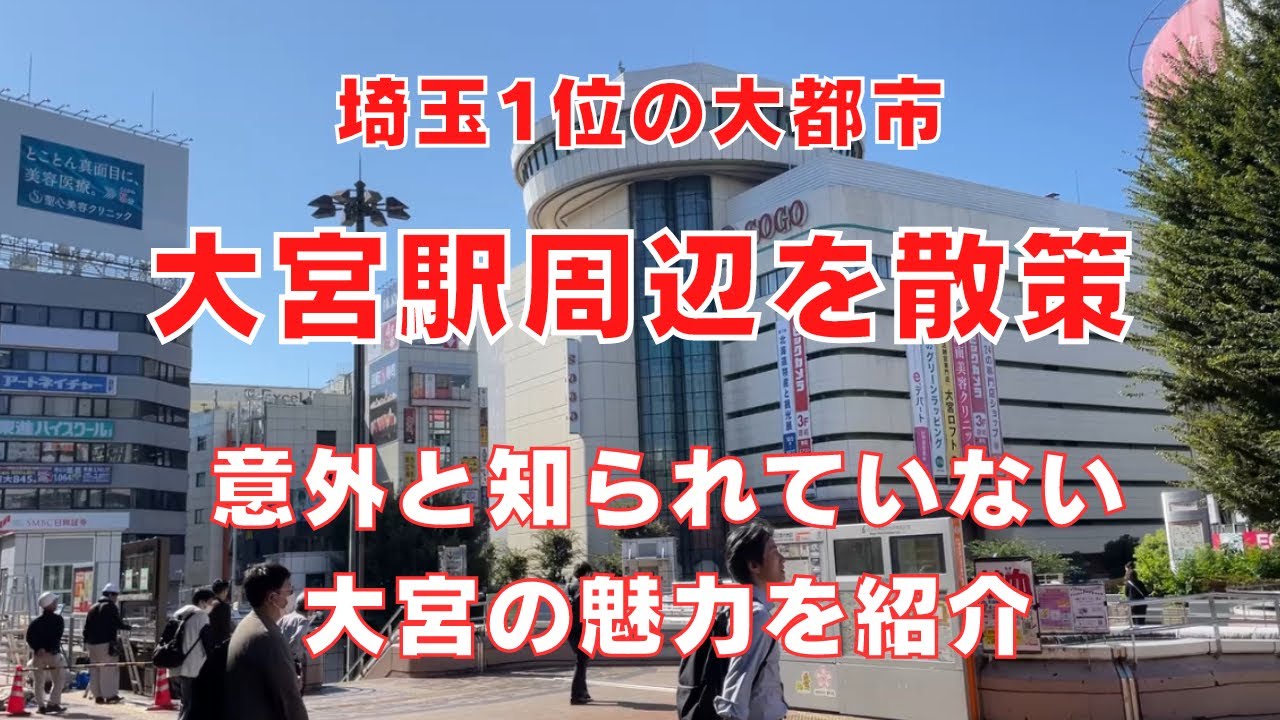 【大宮駅周辺を散策】魅力たっぷり大人の一人旅〜氷川神社・南銀〜埼玉１位の大都市！行かなきゃ損！Trip To Omiya SAITAMA,Japan Vlog