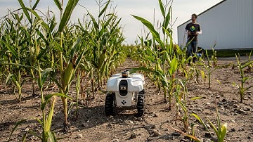 Study Agricultural and Biological Engineering