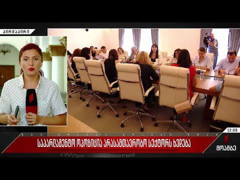 საპარლამენტო ოპოზიცია არასამთავრობო სექტორს ხვდება