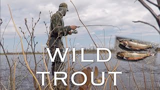 Wild Trout Fishing & Saku Gets Cut By Trash in Woods