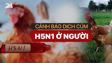 Cảnh báo dịch cúm H5N1 ở người | VTV24