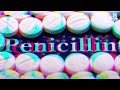Amazing facts of penicillin  bujji malayalam 2023