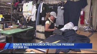 Senate passes PPP reform bill