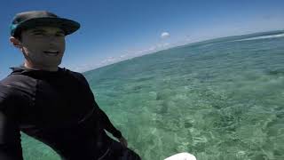 Spiritgirl Jungle Fever Swimsuit