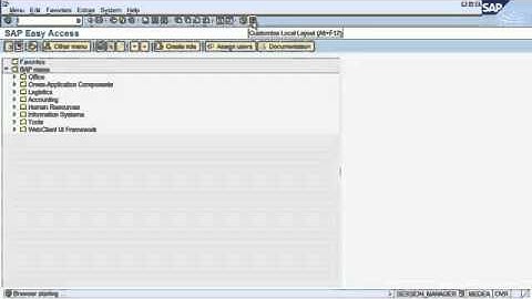 SAP tutorial for How to navigate in SAP ERP