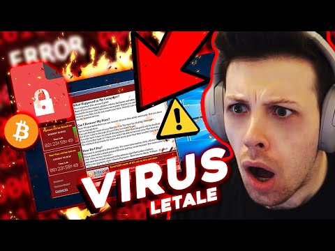 Ingegnere Vs WannaCry.exe