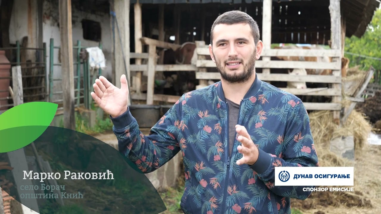 Naša priča ep. 377 17.11.2022. Marko Raković, Borač, Knić, tov bikova, uzgoj borovnice