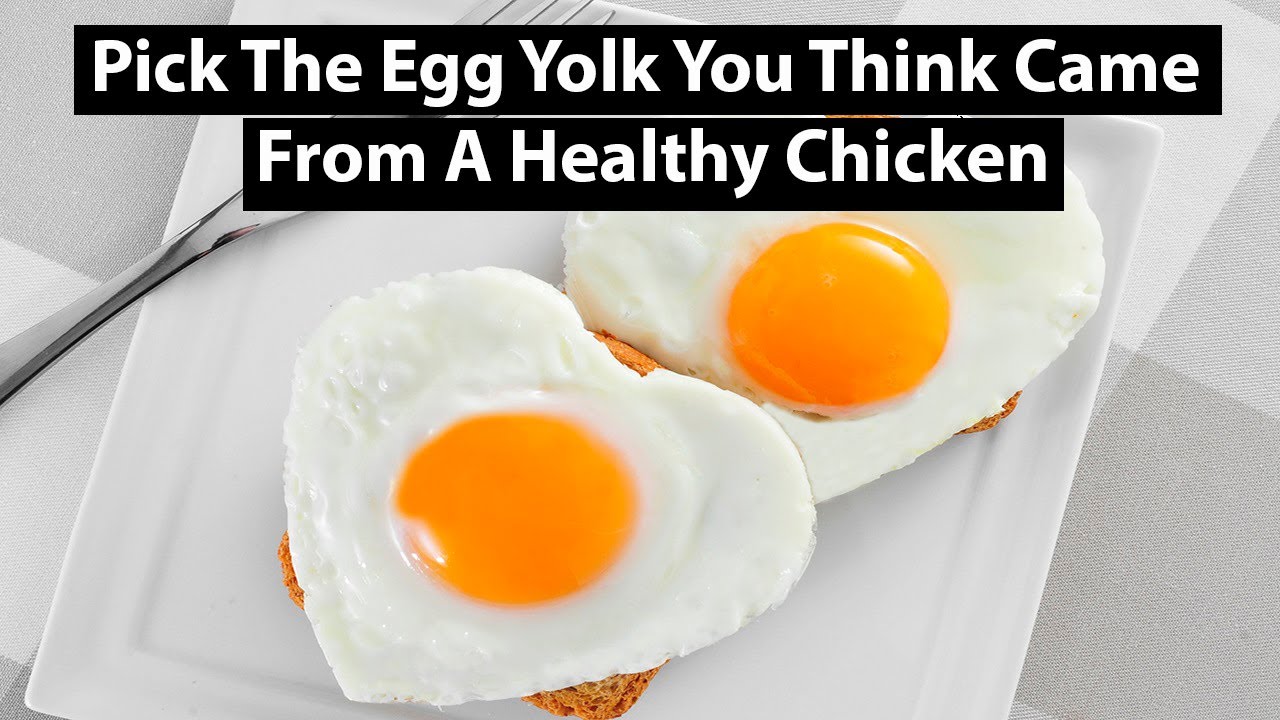 How to Identify a Healthy Chicken Egg