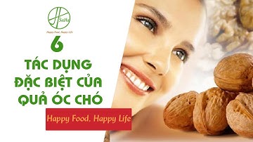 6 Tác Dụng Đặc Biệt Khiến Quả Óc Chó Được Ví Là “Vua Của Các Loại Hạt”