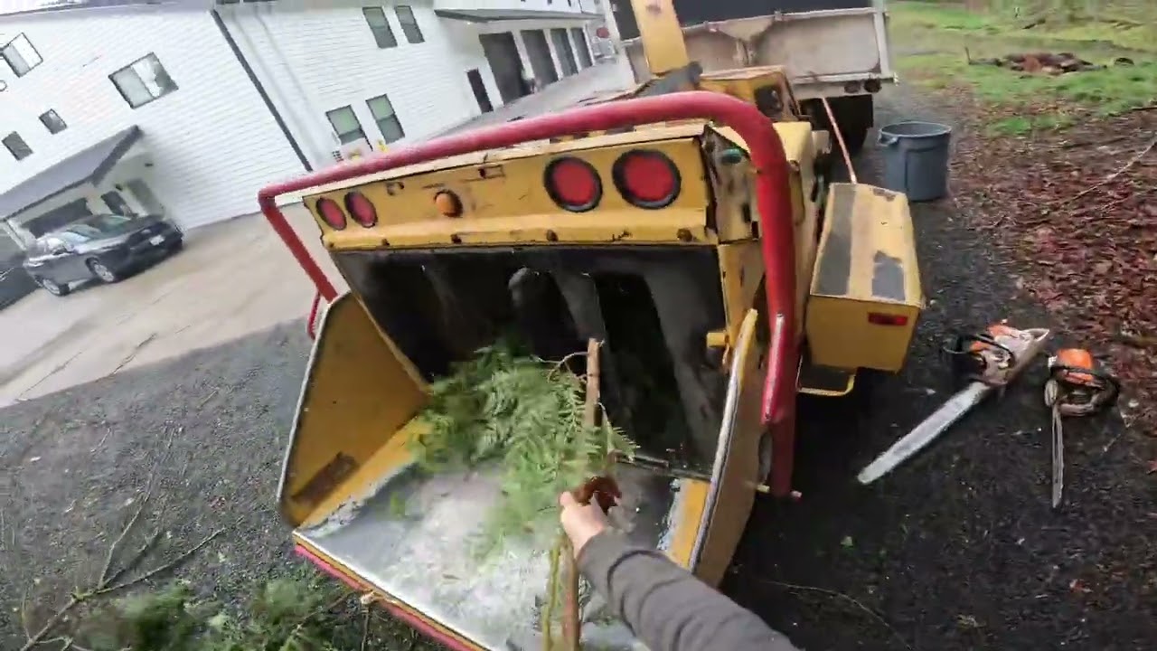 Удаление деревьев, точка зрения землян