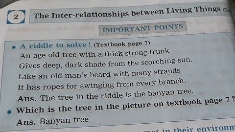 Std.4 EVS.1 Lesson 2 The Inter- Relationships between Living Things Digest Answers Maharashtra Board